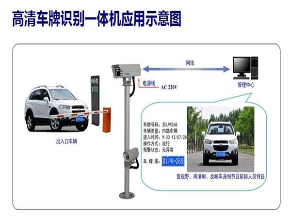 徐州草莓短视频下载公司